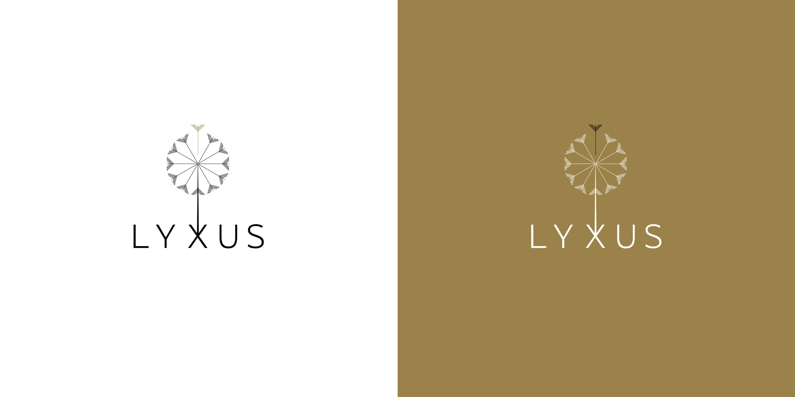 Lyxus1